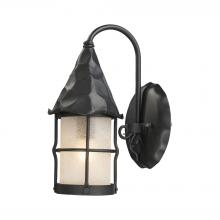 ELK Home Plus 381-BK - Rustica 1-Light Outdoor Wall Lamp in Matte Black