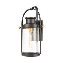 ELK Home Plus 46671/1 - Wexford 1-Light Sconce in Matte Black with Seedy Glass