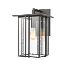 ELK Home Plus 46692/1 - Radnor 1-Light Sconce in Matte Black with Seedy Glass