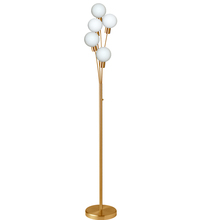 Dainolite 306F-AGB - 5LT Incandescent Floor Lamp, Aged Brass With WH Glass