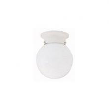 Capital Canada 5569MN - Globe 1-Light Flush Mount
