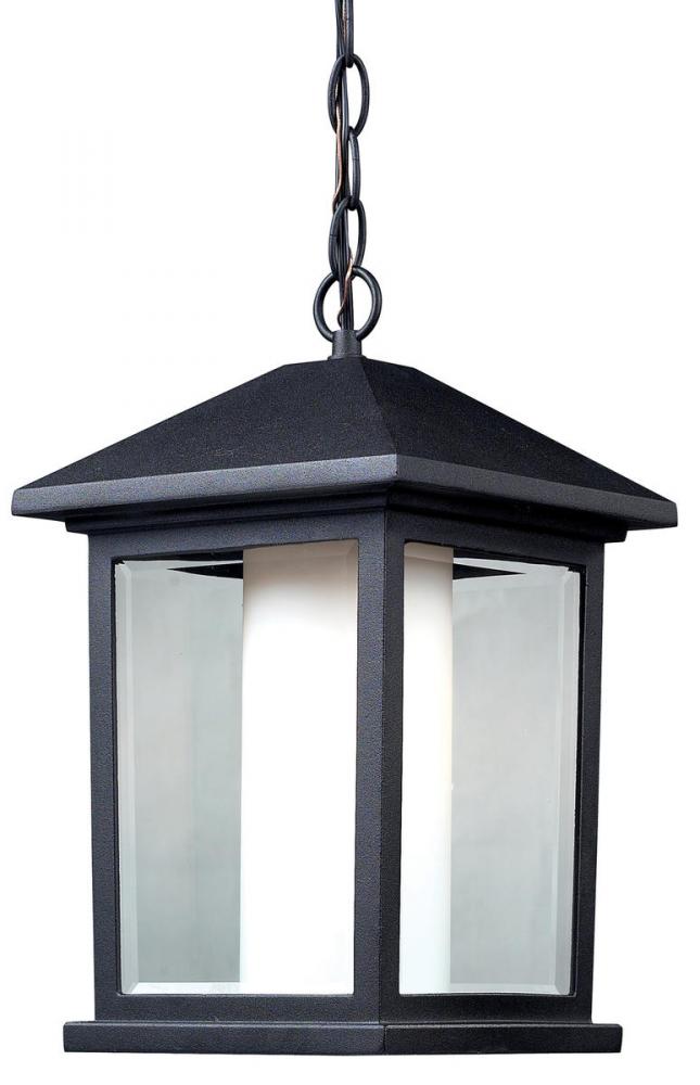 1 Light Outdoor Chain Mount Ceiling Fixture