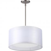 Maxilite MX 2072-02R40 - Porsha-Reese
