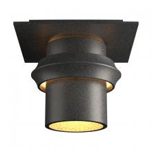 Hubbardton Forge - Canada 364901-SKT-20 - Twilight Small Dark Sky Friendly Outdoor Semi-Flush