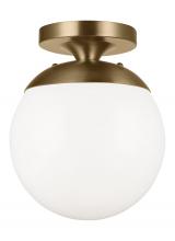 VC Studio Collection 7518-848 - Leo - Hanging Globe One Light Wall / Ceiling Semi-Flush Mount