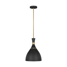 VC Studio Collection EP1151MBK - Joan Large Pendant